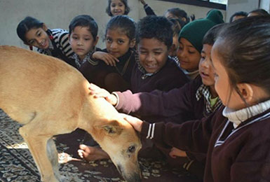 ganga-valley-school-gallery-07